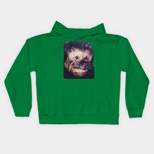 Harry Kids Hoodie